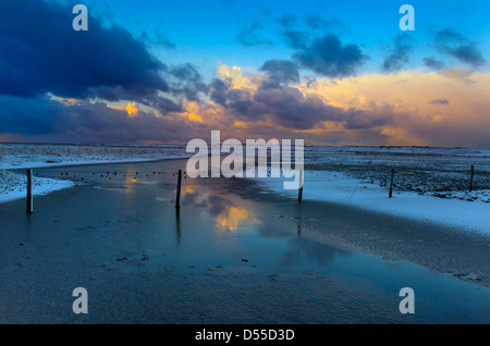 Les marais de pâturage inondé à Salthouse Norfolk de neige de l'hiver Banque D'Images