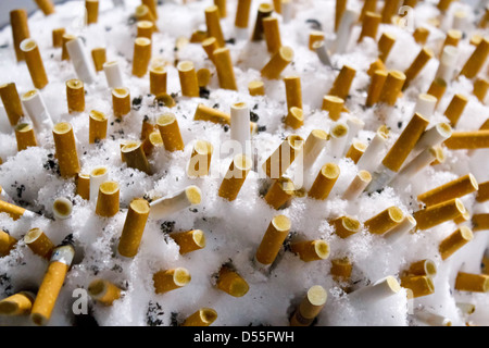 Berlin, Allemagne, les mégots dans la neige Banque D'Images