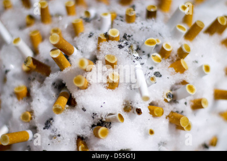Berlin, Allemagne, les mégots dans la neige Banque D'Images