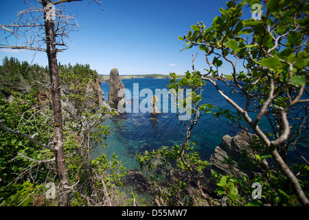 Une vue de la sentier Skerwink près de Port Rexton et de Trinity, à Terre-Neuve, Canada. Banque D'Images