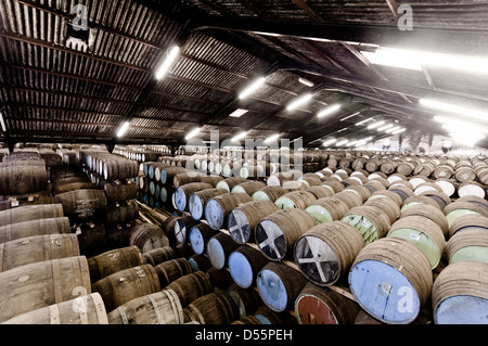 Barils de whisky stocké dans le Ben Nevis distillery warehouse alignés et empilés Banque D'Images