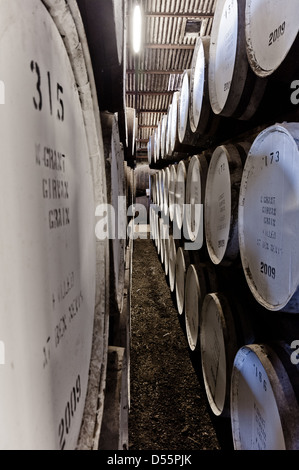 Barils de whisky stocké dans le Ben Nevis distillery warehouse alignés et empilés Banque D'Images