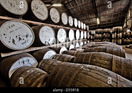 Barils de whisky stocké dans le Ben Nevis distillery warehouse alignés et empilés Banque D'Images