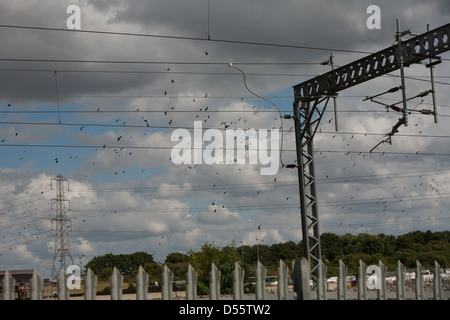 Les lignes électriques à haute tension sur la ligne principale de la côte ouest dans le Staffordshire. Banque D'Images