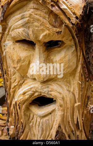 Vieux sage visage sculpté dans un journal de creux avec une tronçonneuse. Ces sculptures sont connus comme les esprits de l'arbre ou du feu. Banque D'Images