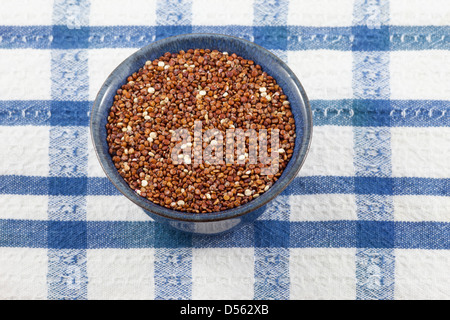 Quinoa rouge biologique (Chenopodium quinoa) sur nappe à carreaux bleus et blancs Banque D'Images