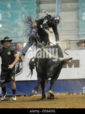 24 mars 2013 - Fort Mohave, AZ, USA - Mar 24, 2013 ; Fort Mohave, AZ, USA ; l'érythroblastopénie Xtreme bull rider Beau Schroeder de Chine, le Texas est débattu autour alors qu'il se déplace pendant la nuit Fort Mohave Xtreme classique à taureaux Mohave Crossing Event Center à Fort Mohave, AZ. Schroeder a dû être transporté par avion à un hôpital de Las Vegas après avoir subi deux poumons effondrés et une trachée déchirée après avoir résisté au large de déplacements la nuit. La chirurgie pour réparer la trachée a été effectué, ce qui nuit à l'University Medical Center. Schroeder aura un tube de trachéotomie dans son cou pendant six semaines et sera unabl Banque D'Images