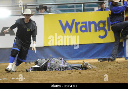 24 mars 2013 - Fort Mohave, AZ, USA - Mar 24, 2013 ; Fort Mohave, AZ, USA ; un torero s'occupe de l'érythroblastopénie Xtreme bull rider Beau Schroeder de Chine, Texas après Schroeder a été blessé après avoir été s'éteint de nuit se déplace au cours de la Classique Taureaux Fort Mohave Xtreme à Mohave Crossing Event Center à Fort Mohave, AZ. Schroeder a dû être transporté par avion à un hôpital de Las Vegas après avoir subi deux poumons effondrés et une trachée déchirée après avoir résisté au large de déplacements la nuit. La chirurgie pour réparer la trachée a été effectué, ce qui nuit à l'University Medical Center. Schroeder va subir une trachéotomie t Banque D'Images