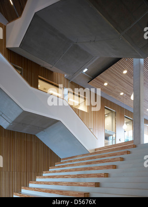 Amsterdam University College, Amstderdam, Pays-Bas. Architecte : 2012 Mecanoo. Vue vers le haut pour escalier multifonctions avec b Banque D'Images