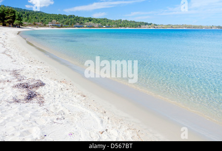 Koursaros beach et d'été à péninsule de Halkidiki, Kassandra en Grèce Banque D'Images