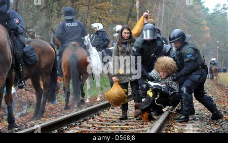 La police anti-émeute se déplacent à l'encontre de la militante anti-nucléaire, au cours d'un meeting de protestation contre le Castor transport nucléaire dans le long de la voie ferrée dans la région de Harling, Allemagne, 7 novembre 2010. La 12ème livraison de déchets nucléaires de l'usine de retraitement française de La Hague est sur le point d'arriver à l'installation de stockage provisoire de déchets nucléaires à Gorleben. Photo : Jochen Luebke Banque D'Images