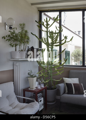 Salle de séjour dans un appartement traditionnel italien avec beaucoup de plantes Banque D'Images