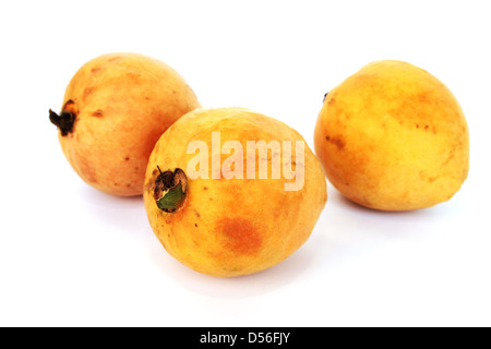 La goyave fruit isolé sur fond blanc. Banque D'Images