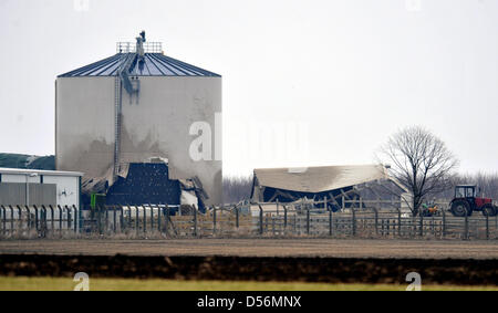 L'endommagé l'élevage porcin, représenté à la station Grosskayna, Allemagne, 14 mars 2010. Quelques 14,000 mètres cubes de lisier liquide s'échappait sur deux à trois kilomètres carrés. Les raisons exactes de la fuite n'est pas encore été analysés. Photo : Hendrik Schmidt Banque D'Images