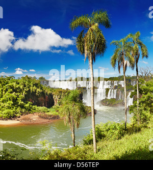 Iguassu Falls, la plus grande série de cascades du monde, situé à la frontière brésilienne et argentine Banque D'Images