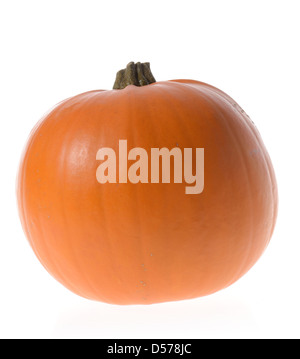 Fresh orange citrouille isolé sur fond blanc Banque D'Images