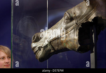 Un incendie en bronze doré tête de cheval romain datant du iie siècle AD est en exposition à Füssen, Allemagne, 12 mai 2010. La tête a été découvert en 1769 sur les berges du ruisseau Wertach à Augsbourg et fait partie de l'exposition 'Bavaria - Italie" qui est à l'affiche du 21 mai au 10 octobre 2010 à Füssen et Augsbourg. Photo : Karl Josef OPIM Banque D'Images