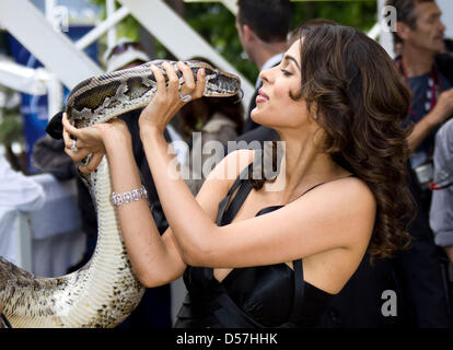 L'actrice indienne Mallika Sherawat assiste à l'appel de la photo le film "siffler" au 63e Festival du Film de Cannes, France, le 16 mai 2010. Photo : Hubert Boesl Banque D'Images