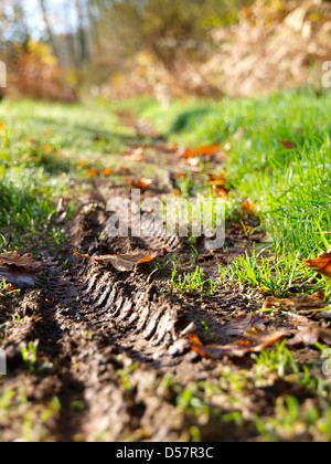 Traces de roues dans la boue dans un focus sélectif Banque D'Images