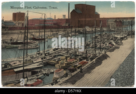 La flotte de moustique, Galveston, Texas. Banque D'Images