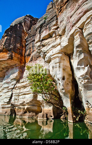 L'ouest de l'Australie, Kimberley, Gorge Geikie Banque D'Images