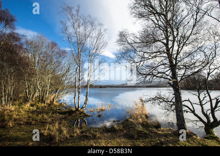 Loch Kinord au Muir de Dinnet Aberdeenshire, Ecosse. Banque D'Images