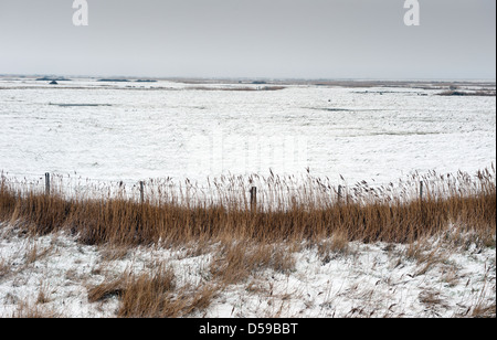 Le CLAJ suivant la mer, Norfolk, Angleterre. Mars 2013 Le CLAJ de marais et de roselières couvertes de neige. Banque D'Images