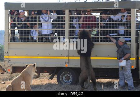 L'équipe nationale de football allemande joueurs sont assis dans un camion et prendre des photos de lions comme l'équipe se rend dans le parc du lion en Lanseria, près de Pretoria, Afrique du Sud 25 juin 2010. Photo : Markus Gilliar légende locale *** ***  + + +(c) afp - Bildfunk + + + Banque D'Images