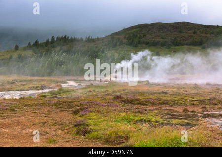 Petit Smidur Geyser bouillant. L'Islande, Geysers Valley Banque D'Images