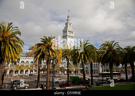 Palmiers, de l'Embarcadero et tour Ferry Building, San Francisco, Californie, États-Unis d'Amérique, USA Banque D'Images