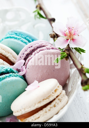 Macarons français en rose, turquoise et blanc Banque D'Images