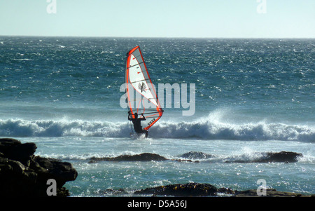 Surfer sur une plage dans le parc national de Table Mountain, péninsule du Cap, Afrique du Sud Banque D'Images