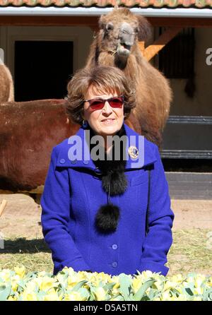 Amsterdam, Pays-Bas. 27 mars, 2013. La princesse Margriet ouvre 'Artis en fleurs" à l'occasion du 175e anniversaire de Artis d'Amsterdam. La princesse renommé un anniversaire spécial, appelé tulipe Tulipa Natura Artis Magistra. Photo : Albert Philip van der Werf /PRE/Pays-Bas - Banque D'Images