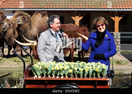 Amsterdam, Pays-Bas. 27 mars, 2013. La princesse Margriet ouvre 'Artis en fleurs" à l'occasion du 175e anniversaire de Artis d'Amsterdam. La princesse renommé un anniversaire spécial, appelé tulipe Tulipa Natura Artis Magistra. Photo : Albert Philip van der Werf /PRE/Pays-Bas - Banque D'Images