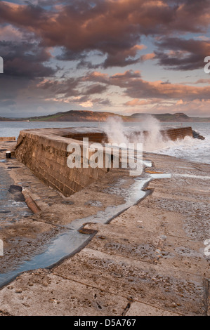 La Cobb, port de Lyme Regis, West Dorset, UK Banque D'Images