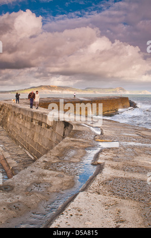 La Cobb, port de Lyme Regis, West Dorset, UK Banque D'Images