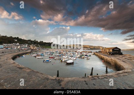 La Cobb, port de Lyme Regis, West Dorset, UK Banque D'Images