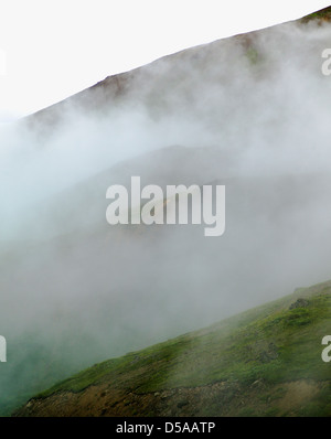 Les nuages bas, la brume et le brouillard obscur partiellement la chaîne de l'Alaska, Denali National Park, Alaska, USA Banque D'Images