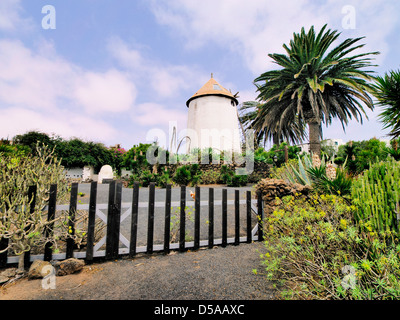 Agricola El Patio Musée, Tiagua, Lanzarote Banque D'Images