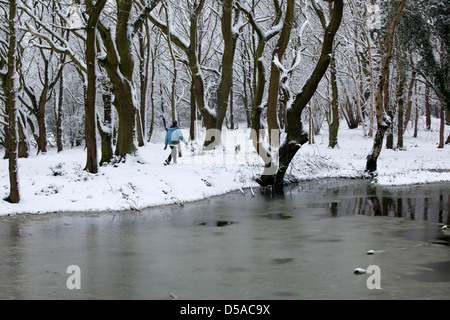 Une personne qui marche leur chien dans la neige à travers les bois au-delà d'un lac gelé en Baddesley Ensor, North Warwickshire. Banque D'Images