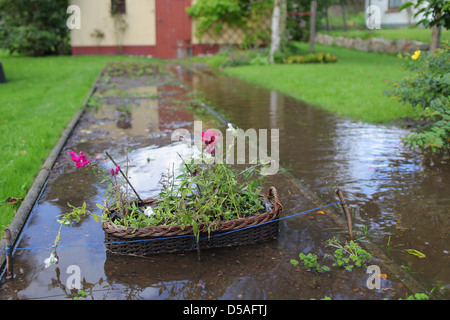 Handewitt, Allemagne, des fleurs dans un jardin inondé par Banque D'Images