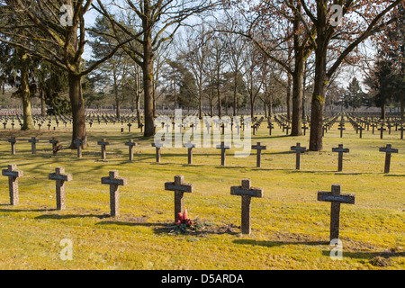 Cimetière de guerre allemand à Kattenbos Lommel, en Belgique, avec 542 morts de la PREMIÈRE GUERRE MONDIALE et 38,560 morts de la SECONDE GUERRE MONDIALE. Banque D'Images