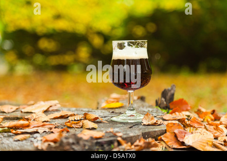 Verre de bière bock sombre debout sur tronc d'arbre dans la forêt d'automne. Banque D'Images