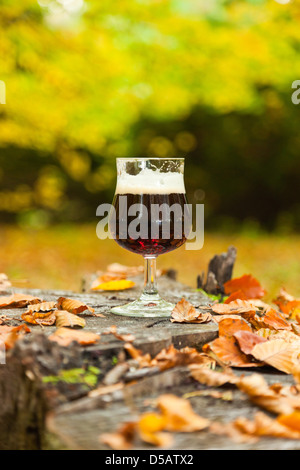 Verre de bière bock sombre debout sur tronc d'arbre dans la forêt d'automne. Banque D'Images