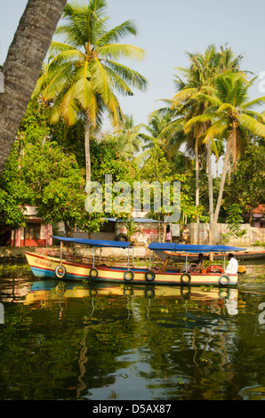 Un voile sur les Backwaters du Kerala, Inde du Sud Banque D'Images