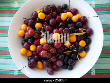 Bol de fruits rouges , raisins et cerises Banque D'Images