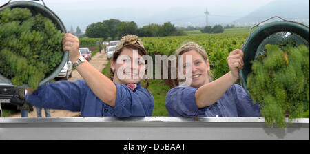 La princesse vin de la région de Pfalz, Andrea Schick (R), et la princesse vin Mussbach, Mona Baeder, seaux vides rempli de raisins que la récolte débute à Neustadt an der Weinstrasse en Allemagne le 18 août en 2010. La première récolte a commencé vignerons traditionnellement avec le 'variétés' précoce pour la 'Federweisser'. Photo : Ronald Wittek Banque D'Images