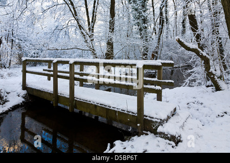 Passerelle couverte de neige plus petit étang dans un bois taillis, Norfolk, Royaume-Uni. Banque D'Images