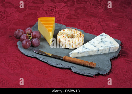 Sélection de fromages gallois sur l'ardoise. Banque D'Images