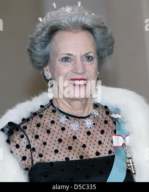 La Princesse Benedikte du Danemark arrive pour le dîner offert par la reine du Danemark pour les membres du parlement danois et des membres du Parlement européen au Palais de Christiansborg à Copenhague, Danemark, 27 janvier 2010. Photo : Albert Nieboer (Pays-Bas) Banque D'Images